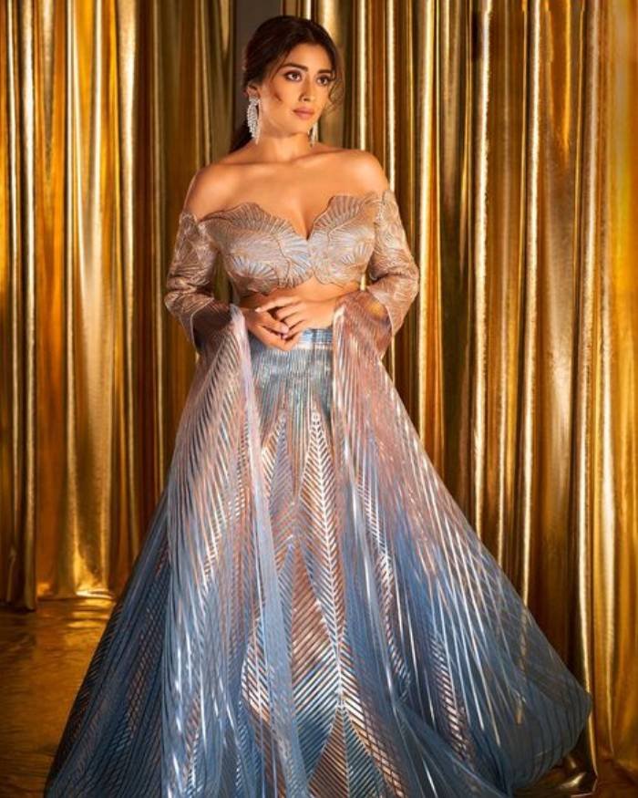 shriya saran_teluguvox 4